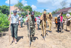 Tingkatkan Produksi Lokal,  Tanam Jagung Bersama, Dukung Ketahanan Pangan dan Swasembada Jagung