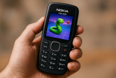 Game Legendaris Snake Kembali di Nokia 1100 2025 dengan Grafis Baru? Intip Tampilannya!