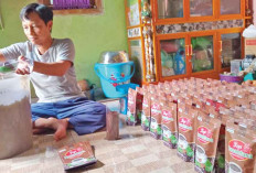 Petani Kopi Pilih Simpan Stok-UMKM Justru Tangguh