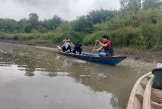 Sungai Siapit  Diduga Tercemar Limba Sawit Perusahaan, Warga Desa Burnai Minta Perusahaan Ditutup