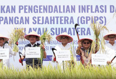 Deputi Gubernur BI Hadiri GPIPS di Banyuasin, Apresiasi Sumsel Berhasil Kendalikan Inflasi,  