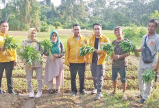 Manfaatkan Pekarangan Berikan Nilai Positif