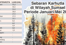  Tiga Daerah di Sumsel Alami Karhutla dengan Luasan Terbesar 