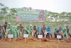 Pangdam Panen Singkong Garuda, Di Kebun Rahmah