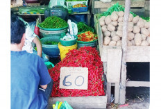 Cabai Sempat Tembus Rp100 Ribu/kg Akibat Terdampak Cuaca, Pasokan dari Jawa juga Tersendat