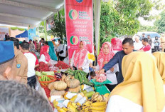 Terus Produksi Sayur dan Buah Lokal 