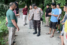 Bujangan di Gunung Megang, Ditemukan Bersimbah Darah