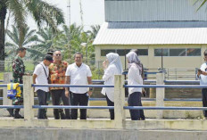 Realisasi Cetak Sawah Baru Capai 69 Persen