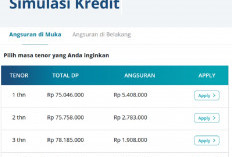 Angsuran Mobil Ayla Bekas Hanya Rp1 Jutaan, Cek Uang Muka yang Harus Dibayar di BCA Finance