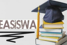 Daftar Perusahaan Pemberi Beasiswa Kuliah: Dari Djarum Foundation hingga Google