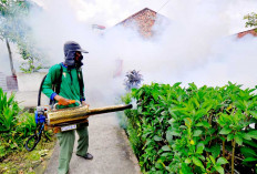 Waspadai Diare dan Demam Berdarah Dengue, Potensi Peningkatan Penyakit di Masa Peralihan Musim