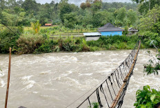 Bupati Lahat Tinjau Jembatan Gantung Rusak, Pembangunan Dipercepat