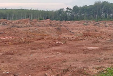  Segel 4 Lokasi Galian C di Wilayah Gandus Palembang, 1 Tanpa Izin dan 3 Menambah di Luar IUP