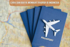 Cara dan Biaya Membuat Paspor di Indonesia