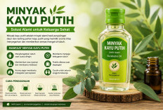 Minyak Kayu Putih, Solusi Alami untuk Menjaga Kehangatan Tubuh