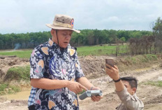 5.000 Hektar Sawah Baru di OKU Timur: Program Optimasi Lahan Makin Berhasil, Mantap!