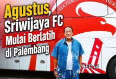 Sriwijaya FC Mulai Susun Kekuatan untuk Liga Nusantara 2026/2027, Manajemen Bantah Isu Pengunduran Diri