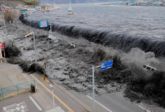 10 Tsunami Terbesar yang Pernah Terjadi, Dua di Antaranya di Indonesia