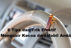 6 Tips dan Trik Efektif Mengusir Kecoa dari Mobil Anda