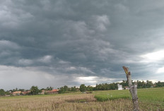 BMKG Prediksi Hujan Petir Guyur Sumsel Senin 14 Juli 2025, Warga Diminta Waspada