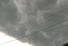 Cuaca Sumsel Rabu, 18 Juni 2025: Waspada Hujan Petir di Sejumlah WilayahCuaca Sumsel Rabu, 18 Juni 2025: Waspa