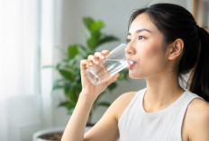 Jangan Sepelekan! Minum Air Putih Cukup Ternyata Jadi Kunci Tubuh Tetap Prima