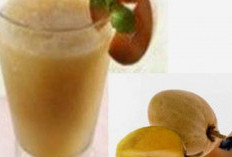 Eksplorasi Rasa: 5 Ide Minuman Inovatif dari Buah Sawo untuk Pecinta Kuliner!