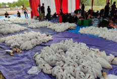 Kejati Sumsel Sembelih 14 Hewan Kurban, 750 Paket Daging Dibagikan ke Warga