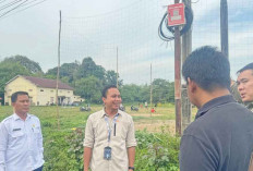 Wujudkan Smart City, Upayakan Pemerataan Internet dari Kota hingga ke Desa