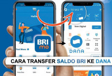 3 Cara Mudah Top Up Saldo DANA dari BRI Secara Offline dan Online, Dijamin Berhasil!