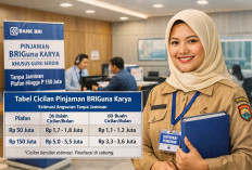 Pinjaman Non KUR Bank BRI untuk Guru Serdik Februari 2026: Syarat, Plafon, dan Simulasi Angsuran Lengkap