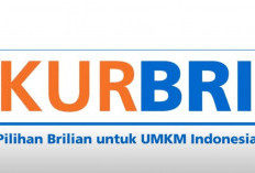 KUR BRI 2026 Jadi Andalan UMKM, Simak Syarat, Bunga, dan Proses Pengajuannya
