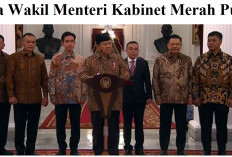 Kabinet Merah Putih Gemoy, 3 Menteri Punya 3 Wakil, 6 Menteri Lainnya Punya 2 Wamen