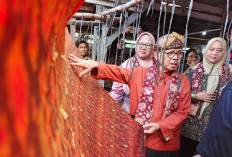 Kunjungan Lapangan Lomba Kampung Kreatif Kota Palembang 2025, Juri Verifikasi Keunggulan Peserta