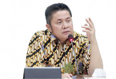 Meski Dana TKD Dipotong Tak Boleh Ada Pengurangan Hak dan PHK P3K, Ini Penegasan Gubernur Herman Deru