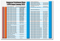 Baru 3 OPD di Empat Lawang, Belanja Perjalanan Dinas Sudah Capai Rp23,8 Miliar