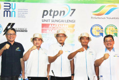 PTPN Target Tanam Ulang Kelapa Sawit Capai 33 Ribu Hektar