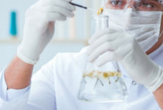 Co-Creation dalam Riset, Ilmuwan Didorong Libatkan Masyarakat Sejak Tahap Awal