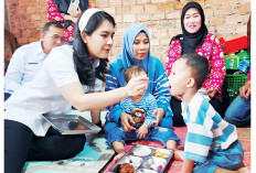 Penyusunan PJPK Sumsel On Progress, Hasil Monitoring Wamendukbangga/Wakil Kepala BKKBN 