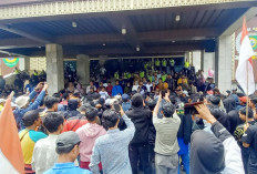 Tuntut Pemda Tindak Pelanggaran Perusahaan