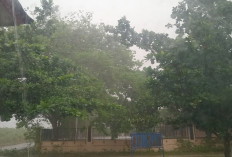 Prakiraan Cuaca Sumsel Sabtu 20 September 2025: Hujan Ringan Menjadi Latar Hari