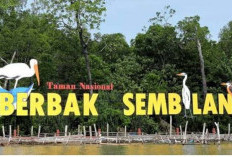 Eksplorasi 4 Destinasi Wisata Terbaik di Banyuasin Sumsel: Pantai, Danau, dan Taman Nasional!