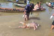 Gempar! Penemuan Mayat Mr. X Mengapung di Sungai Batanghari Leko, Ini Kondisinya