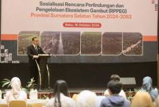 Sumsel Terbitkan RPPEG 2024-2053, Fokus Tangani 5 Isu Krusial Ekosistem Gambut