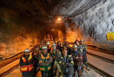 13 Jurusan Kuliah yang Banyak Diminati PT Freeport Indonesia