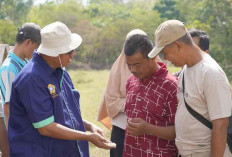 PLN Dorong Budidaya Maggot