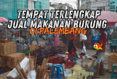 Ingin Mencari Makanan Burung di Palembang, Ini Pilihannya? 