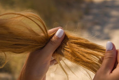 8 Tips agar Rambut Tidak Mudah Patah