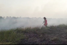 7 Daerah Menonjol Karhutla, Terdata 2.600 Hotspot di Sumsel, Oktober Baru Awal Musim Hujan