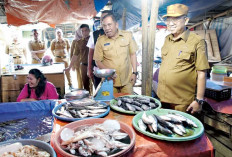 Harga Daging Merangkak Naik, Pemkab OKU Timur Awasi Ketat Harga dan Stok Bahan Pokok